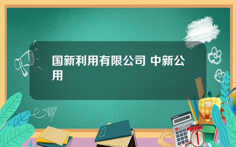 国新利用有限公司 中新公用